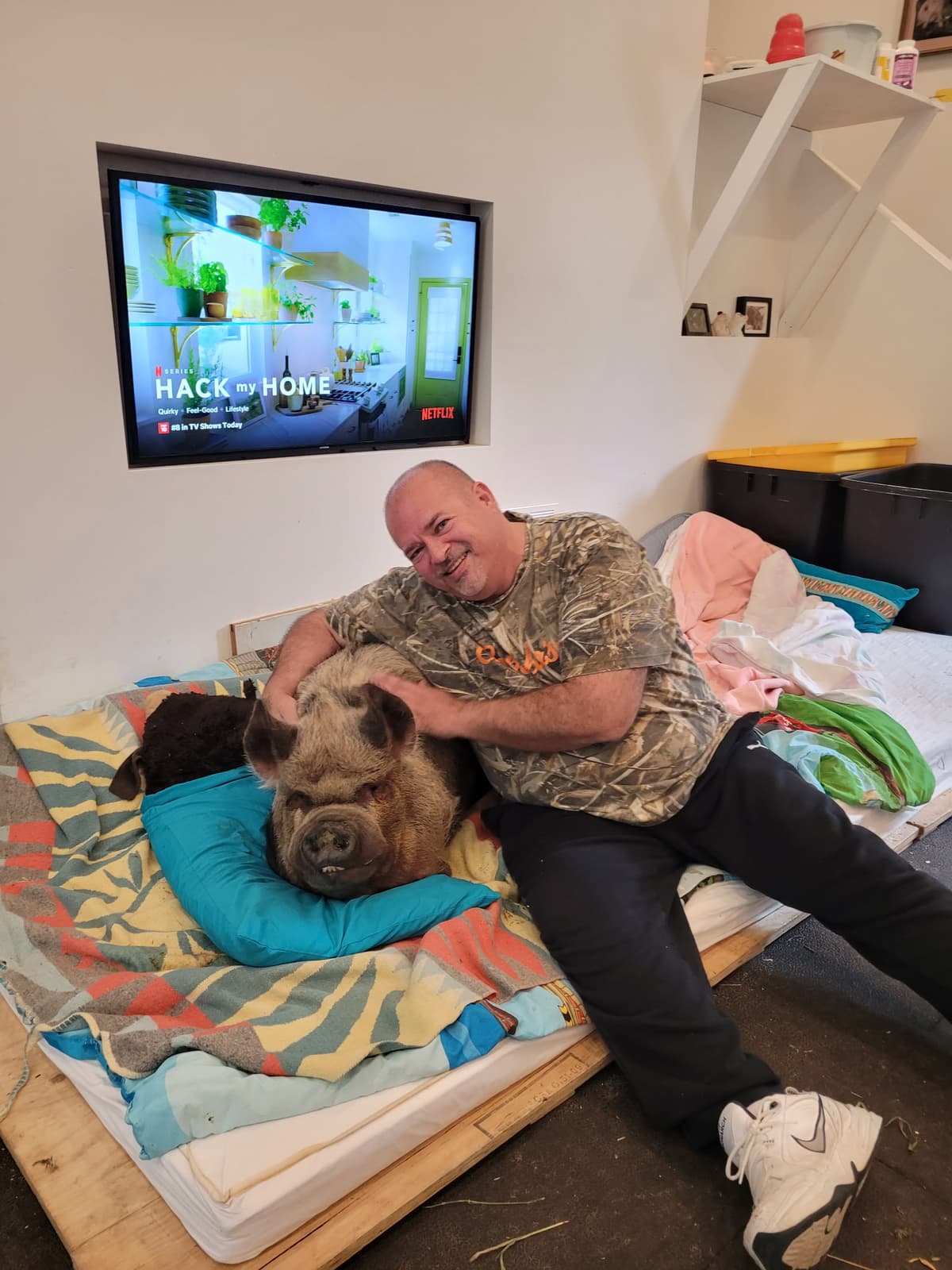 Animal chiropractic treatment